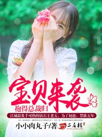 宝贝来袭,抱得总裁归