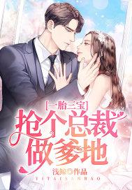 一胎三宝：抢个总裁做爹地