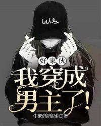 好家伙，我穿成男主了！