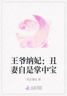 王爷纳妃:丑妻自是掌中宝