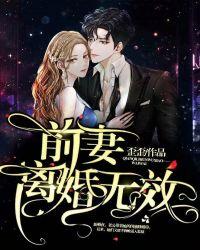 前妻,离婚无效!