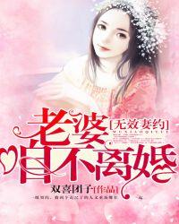 无效妻约:老婆,咱不离婚!