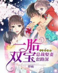 一胎双宝:总裁娶妻套路深