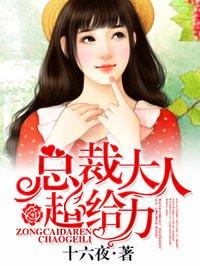 总裁大人隐婚吧