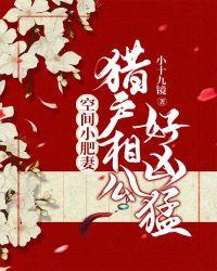 空间小肥妻:猎户相公好凶猛