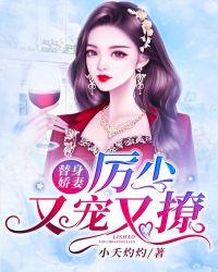 替身娇妻:厉少又宠又撩