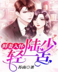 鲜妻入怀:陆少,轻一点