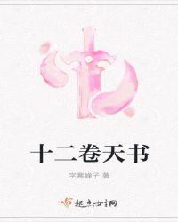 十二卷天书