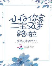 小白,你家二宝又迷路啦