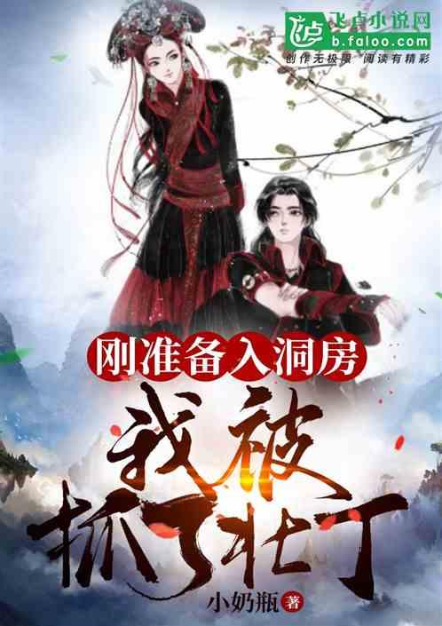 刚准备入洞房,我被抓了壮丁