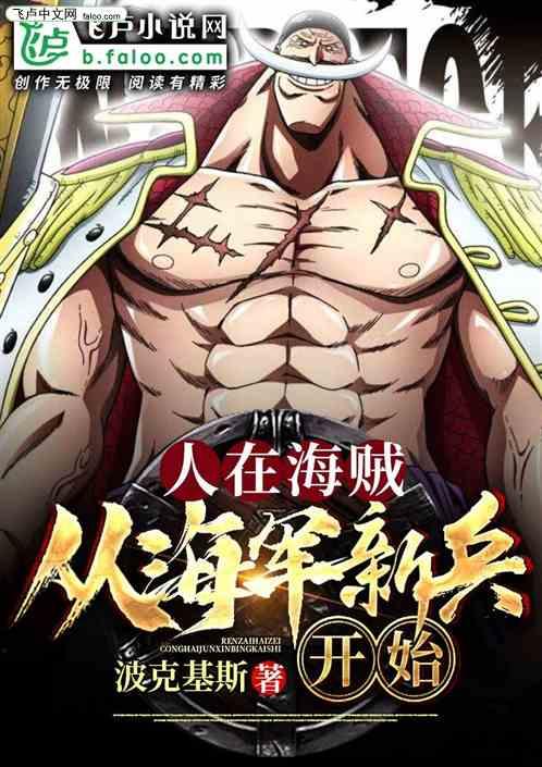 人在海贼:从海军新兵开始