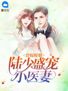 替嫁暖婚:陆少盛宠小医妻時舞