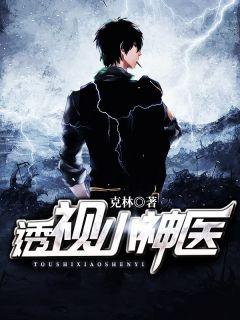 透视小神医叶修苏冰雨