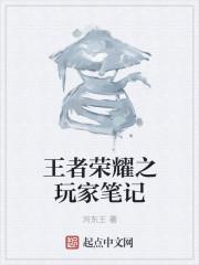 王者荣耀之玩家笔记