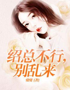 绍总不行,别乱来