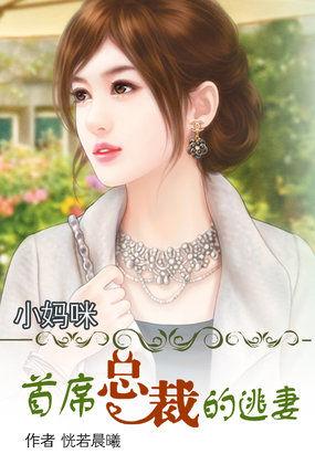 小妈咪:首席总裁的逃妻