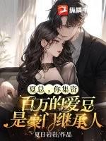 夏总,你集资百万的爱豆是豪门继承人