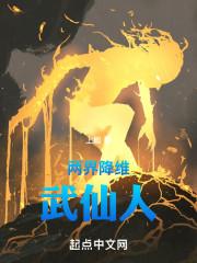 两界降维：武仙人