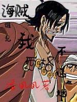 海贼,谁见我山贼王不递烟