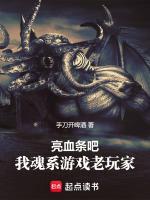 亮血条吧,我魂系游戏老玩家