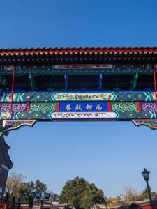 四合院:许大茂的新生