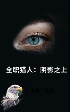 全职猎人:阴影之上