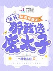 清穿:都在抢雍正?那我选废太子