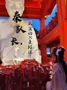 秦队长总想劝我去警局!