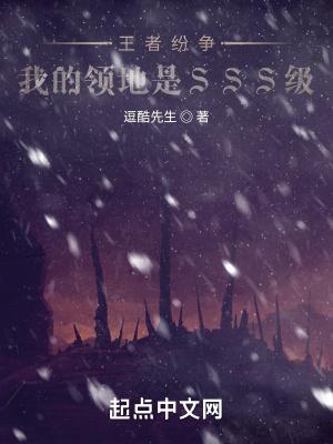 王者纷争:我的领地是SSS级