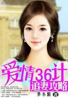 追妻攻略:爱情三十六计