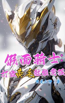 假面骑士:姐夫的逆袭之旅