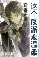 宠妻无度：这个反派太温柔