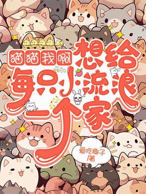 猫猫我啊,想给每只小流浪一个家