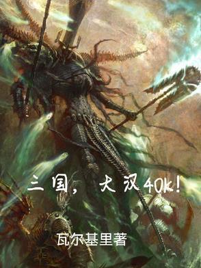 三国!大汉40K