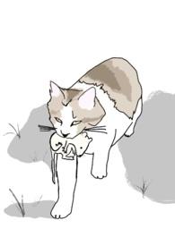 十八线男配上位(校园)