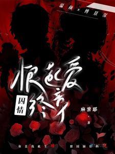 囚情:恨起爱终章