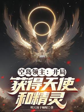 空岛领主:开局获得天使和精灵