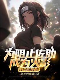 [火影同人] 为阻止佐助成为火影，我回到过去